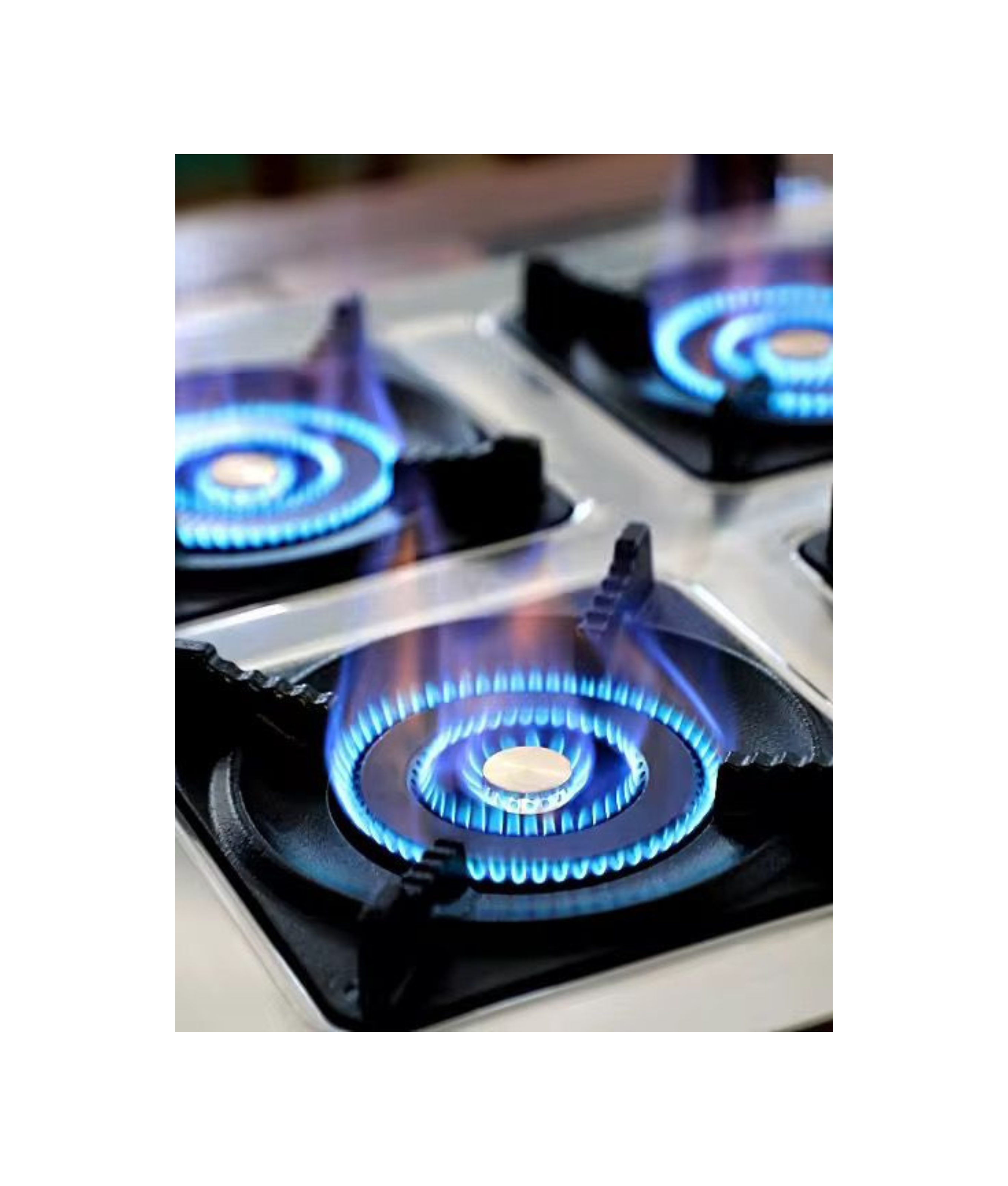 Industrial Gas Cooker 8 Burners (Table Top)