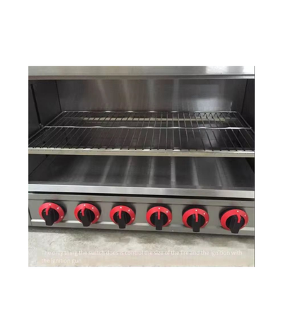 Industrial Gas Salamander 06 Burner - product view 3