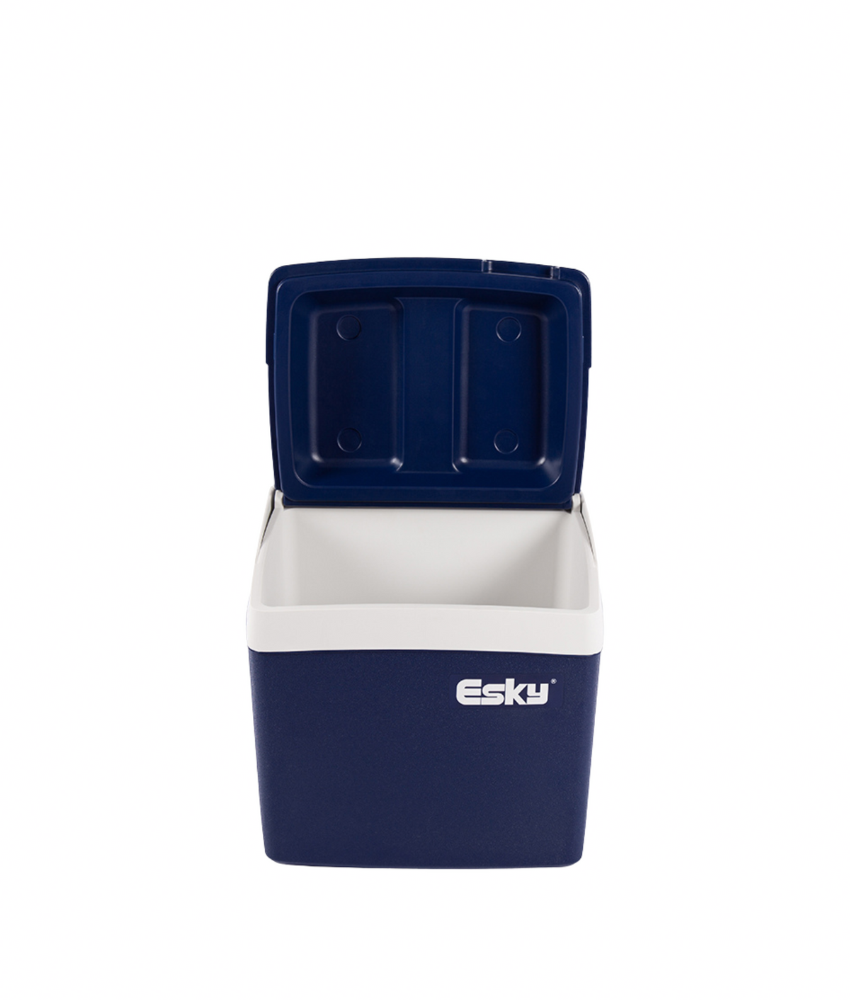 Esky Cool Box 27L